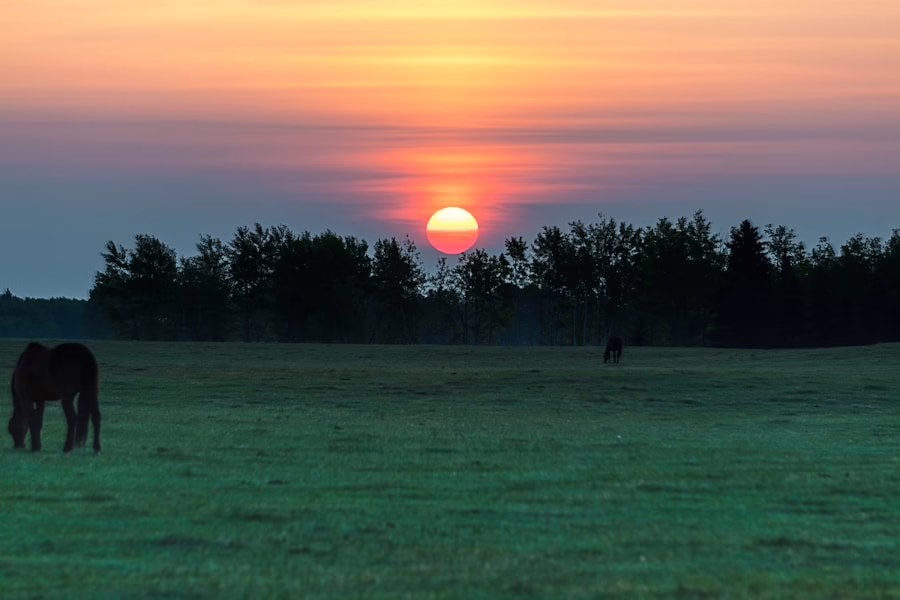 Unlocking Your Full Potential: The Path to Personal Success